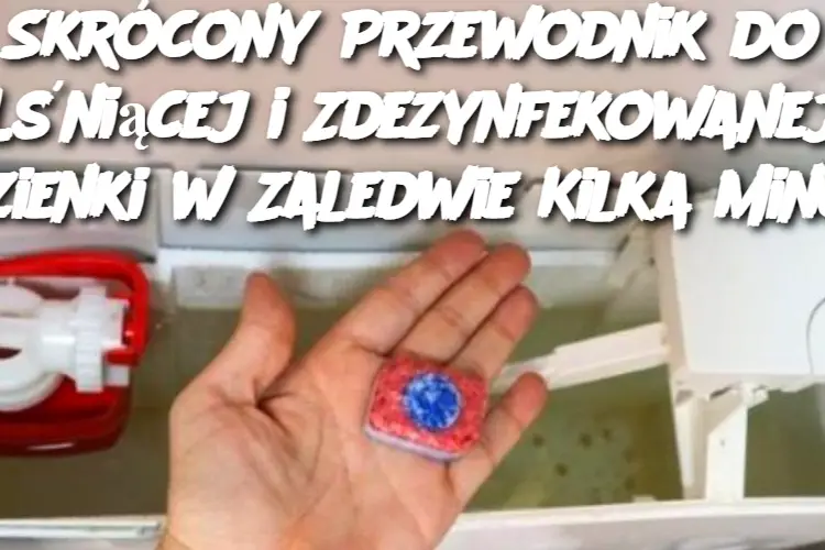 Skrócony Przewodnik do Lśniącej i Zdezynfekowanej Łazienki w Zaledwie Kilka Minut!