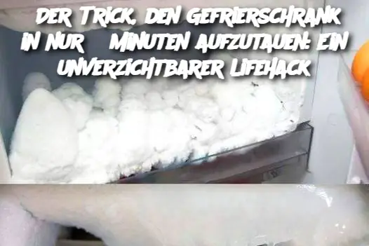 Der Trick, den Gefrierschrank in nur 5 Minuten aufzutauen: Ein unverzichtbarer Lifehack