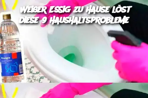 Weißer Essig zu Hause löst diese 9 Haushaltsprobleme