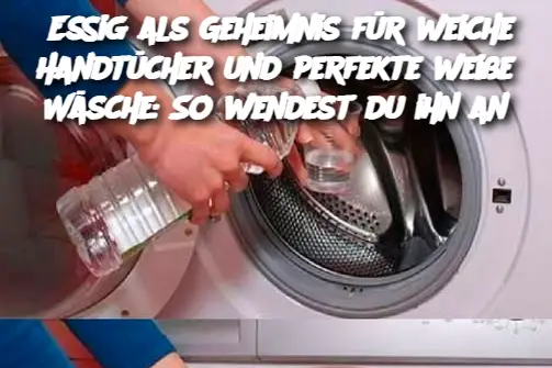 Essig als Geheimnis für weiche Handtücher und perfekte weiße Wäsche: So wendest du ihn an