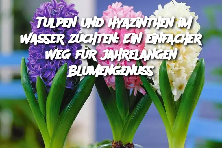 Tulpen und Hyazinthen im Wasser züchten: Ein einfacher Weg für jahrelangen Blumengenuss