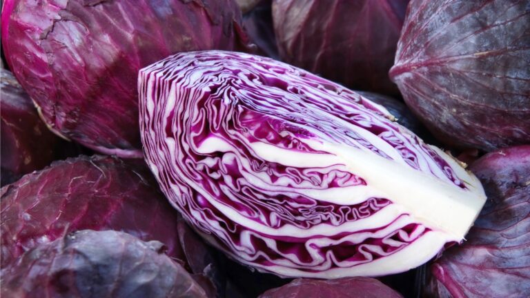 Vergessen Sie Blutzuckerprobleme! Rotkohl ist ein wahrer Schatz für Ihre Gesundheit